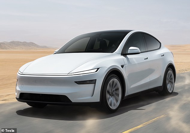 الطراز Y Standard الأرخص متاح للطلب وهو أرخص بـ 3000 جنيه إسترليني من الطراز Y السابق ذو الدفع بالعجلات الخلفية. يكلف المعيار 41.990 جنيهًا إسترلينيًا