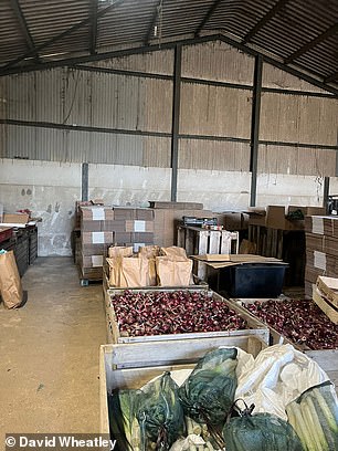 باعت ويتلي صناديق الخضار عبر الإنترنت