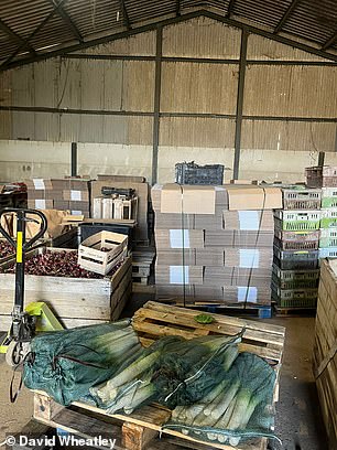 باعت ويتلي صناديق الخضار عبر الإنترنت