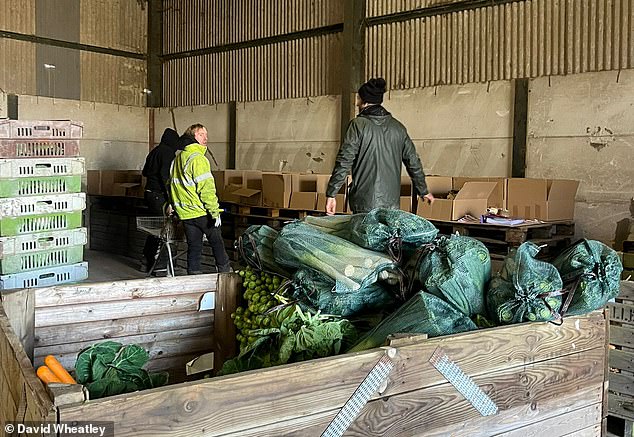 على الرغم من أن استخدام ويتلي لوسائل التواصل الاجتماعي يمثل قصة نجاح، إلا أنها لم تعد مجرد أداة لتحقيق المبيعات