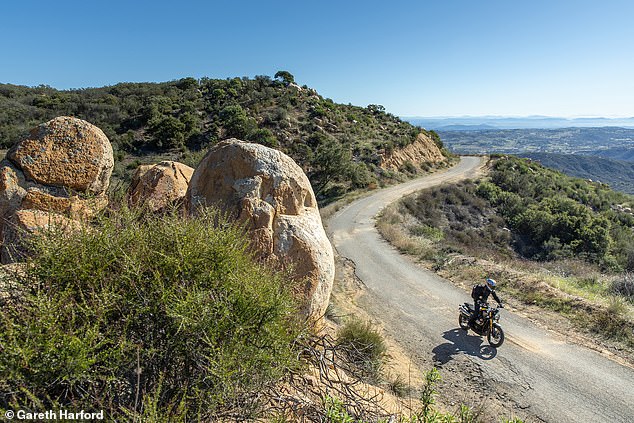 يقول آدم إنه من المدهش الاعتقاد بأن كل هؤلاء البوني هم أحفاد مباشرون للدراجات التي يركبها آباؤنا وأجدادنا ويحبونها
