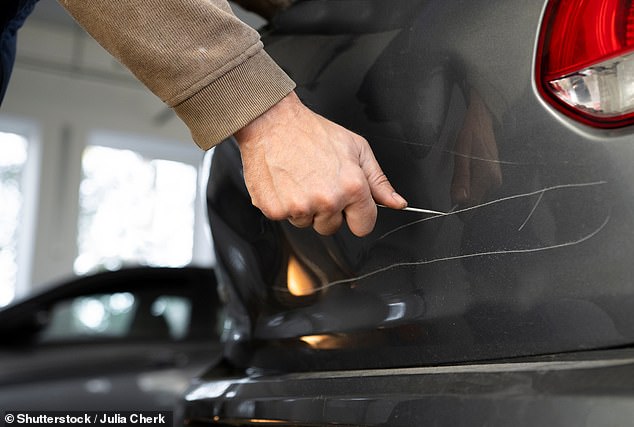 ووجد الاستطلاع أن واحدًا من كل خمسة سائقي سيارات في المناطق الحضرية تعرض لأضرار بسيارته 