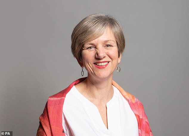 تمت زيادة رسوم Dart بنسبة 40% في سبتمبر الماضي في خطوة قال ليليان غرينوود، وكيل الوزارة البرلماني في DfT، إنها تهدف فقط إلى 