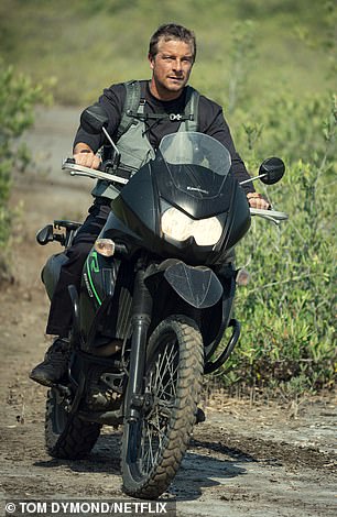 المجازف: الدب يركب دراجة نارية عبر البرية