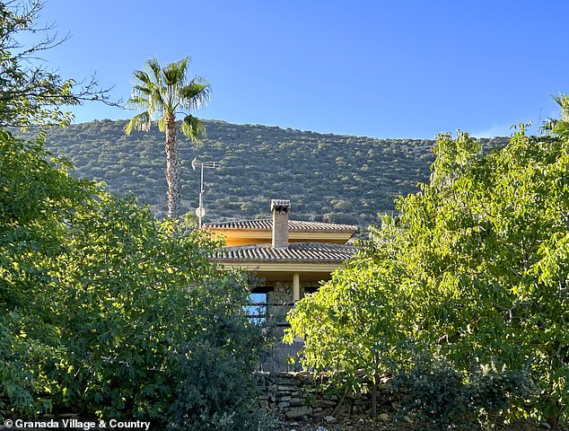 كن حذرًا: قم دائمًا بتعيين محامٍ مستقل إذا قمت بشراء منزل في إسبانيا